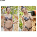 Fashion High Quality Leopard Steel Wire Ladies Panties and Underwear Set Sexy Lingerie